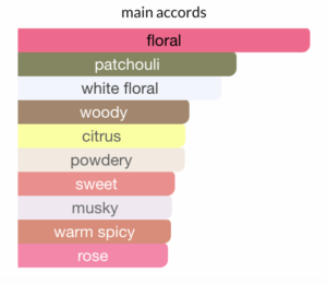 The Burst - Impression of FlowerBomb by Victor & Rolf